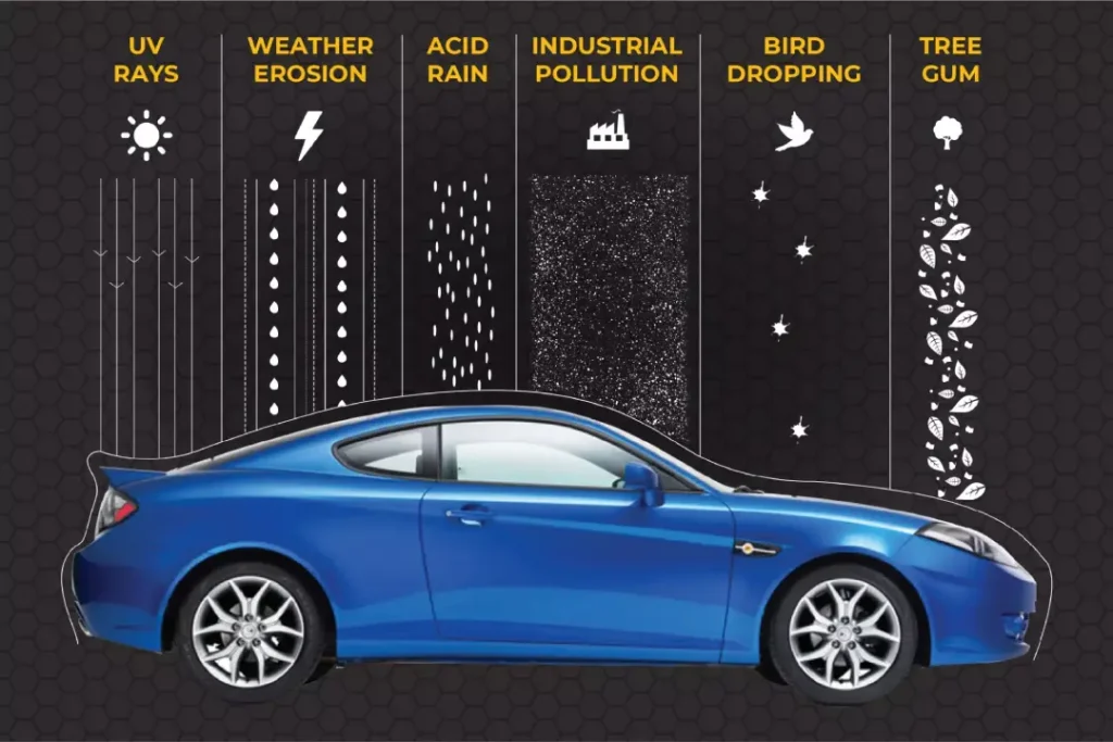 An infographic representing the various environmental factors that could damage a car’s paint but can be protected with ceramic coating.